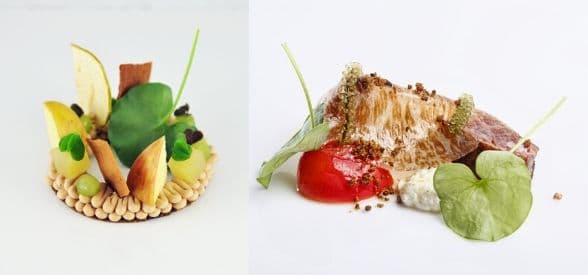 Dinner Classic Tasting Menu