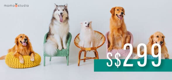 S$299 Momo Sudio Gift Card