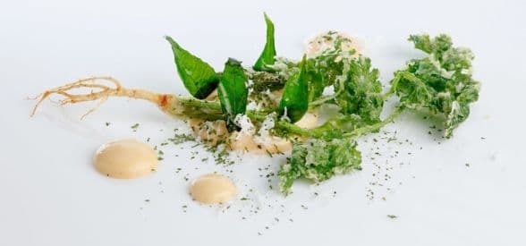 Classic Vegetarian Tasting Menu with Beverage