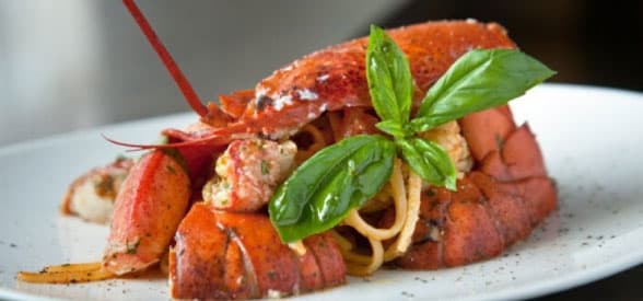 6-Course The Experience Menu for 1