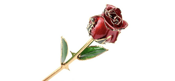 Eternal Preserved Rose