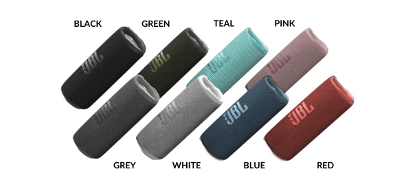 JBL Flip 6
