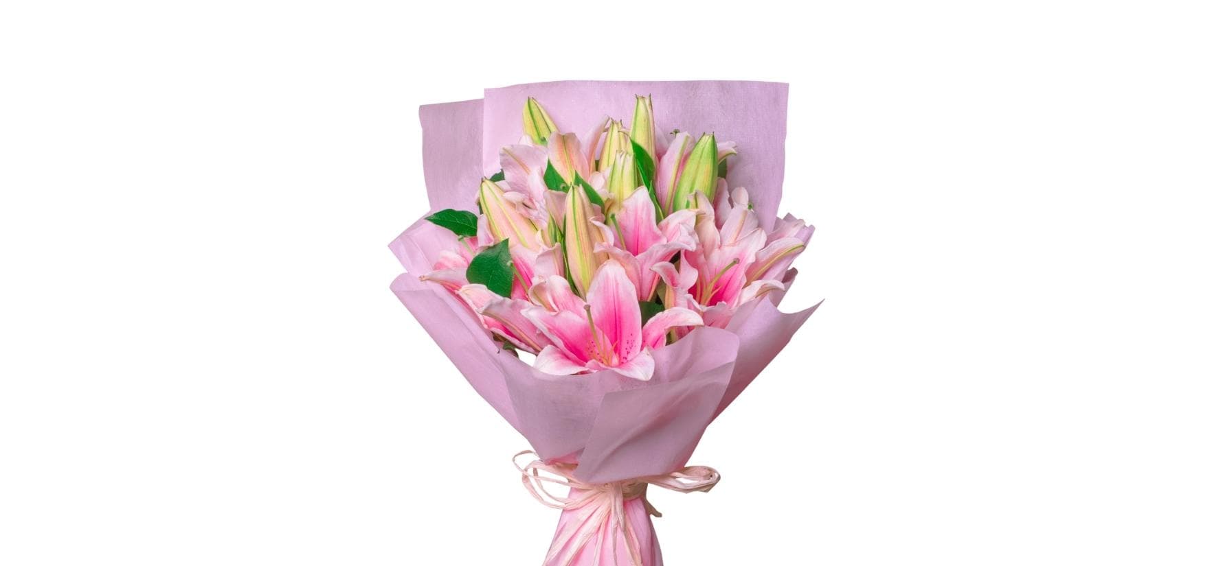 Passionate Oriental Pink Lilies