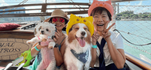 Happy Barkday Package