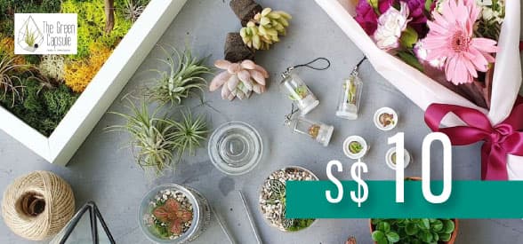 S$10 The Green Capsule Gift Card
