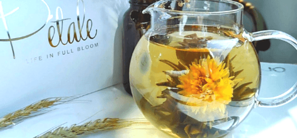 Afternoon Tea Fiesta (Classic) Gift Set