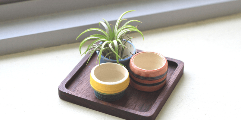 Terra & Ember Banner 2