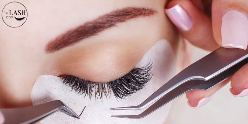 The Lash Icon Singapore Banner 4