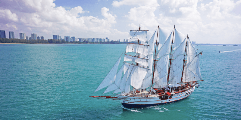 Royal Albatross Tall Ship Banner 4