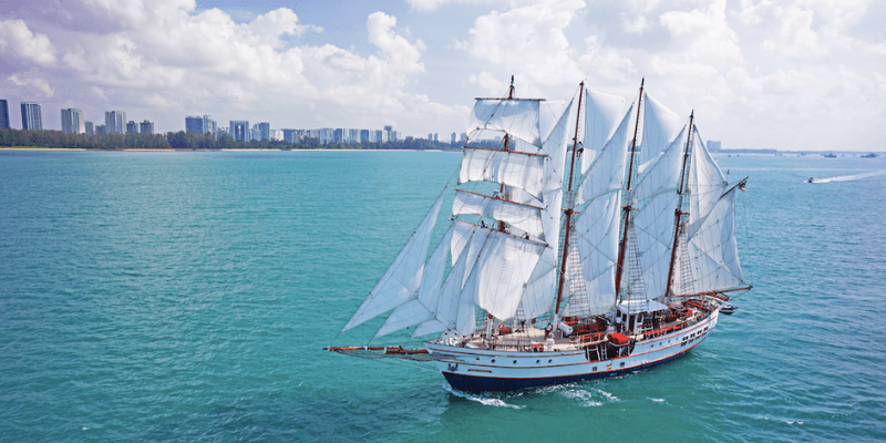 Royal Albatross Tall Ship Banner 8