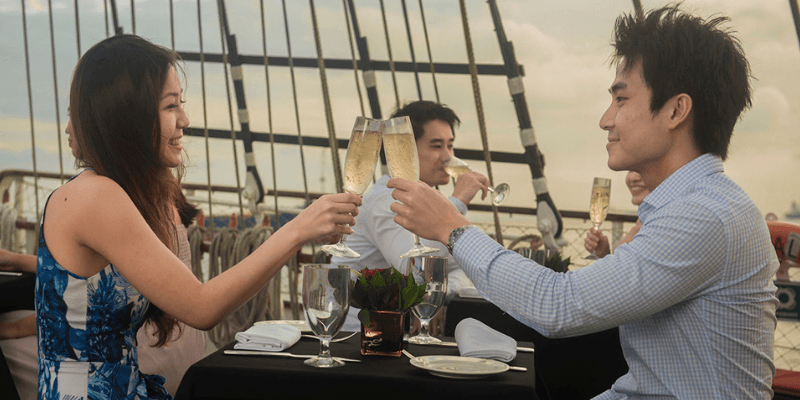 Royal Albatross Tall Ship Banner 3