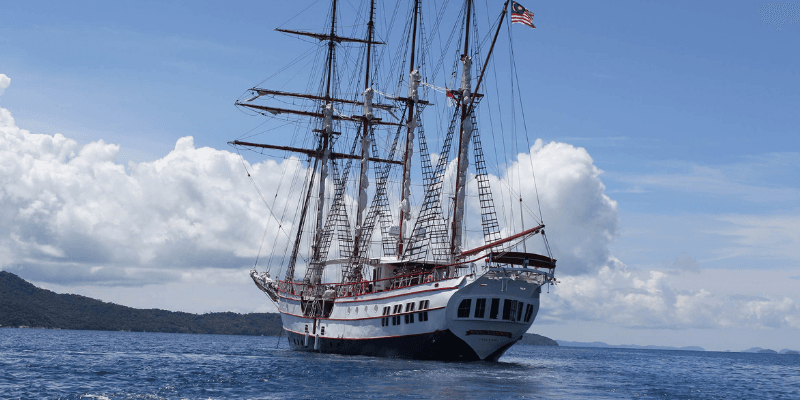 Royal Albatross Tall Ship Banner 2