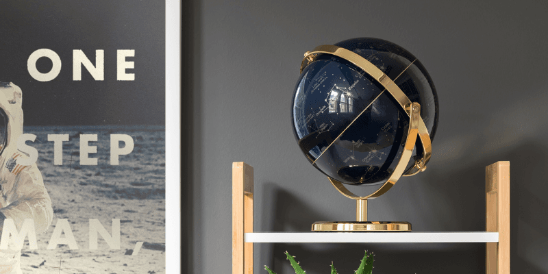 Wild & Wolf Banner 2