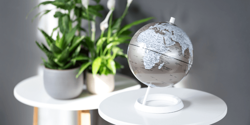 Wild & Wolf Banner 3