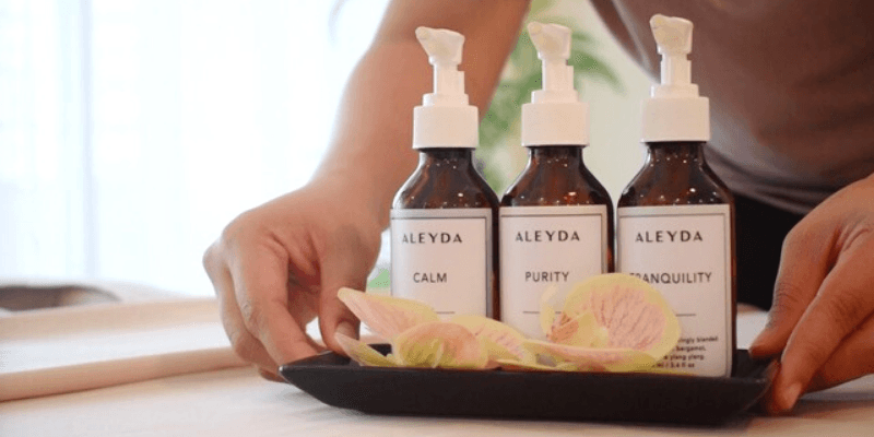 Aleyda Mobile Spa Banner 1