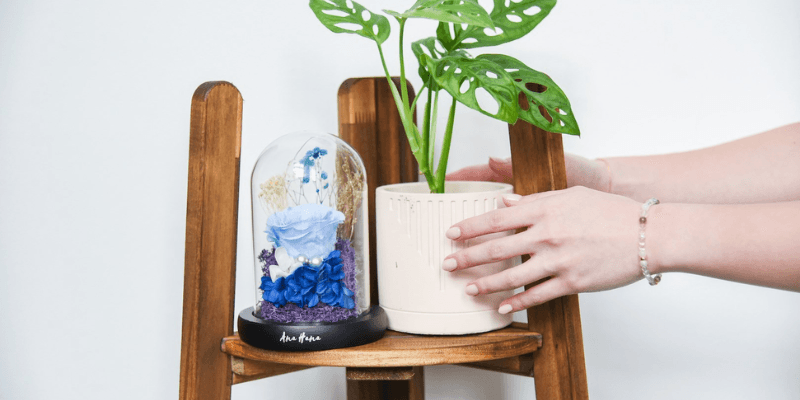 Ana Hana Flower Banner 2