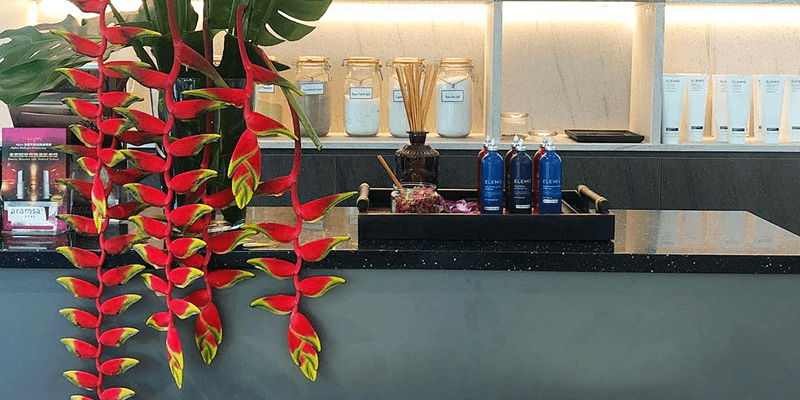 Aramsa the Garden Spa Banner 6