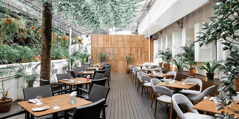 Botanico at The Summerhouse Banner 8