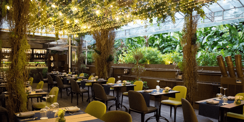 Botanico at The Summerhouse Banner 7