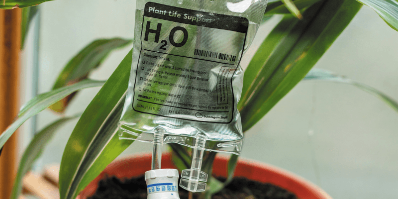 Bubblegum Stuff Banner 3