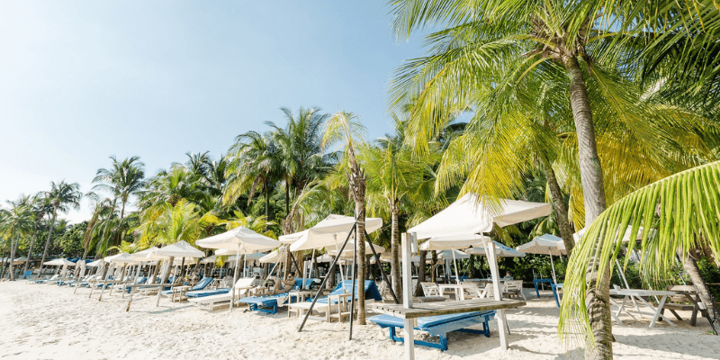 Coastes Singapore Banner 1