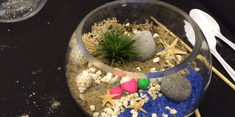 Epic Workshops Banner 2