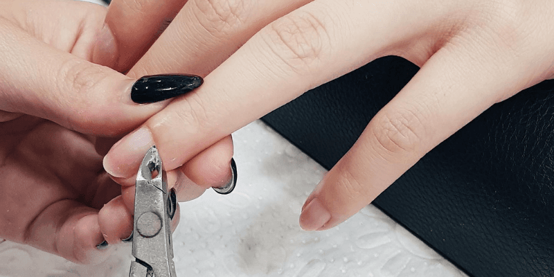 The Nail Artistry Banner 3