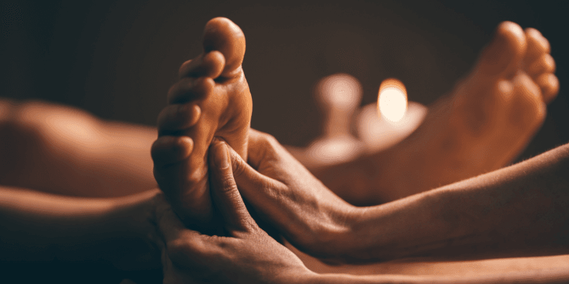 Natureland Singapore Banner 3