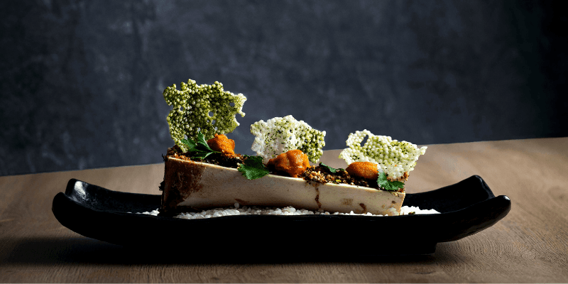 Neon Pigeon Banner 3