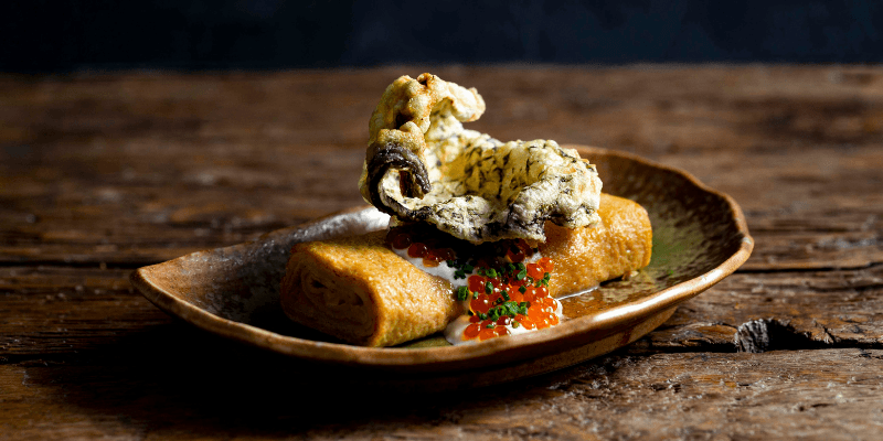 Neon Pigeon Banner 4