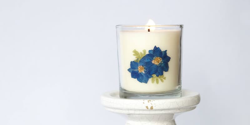 Sally's Room Banner 2