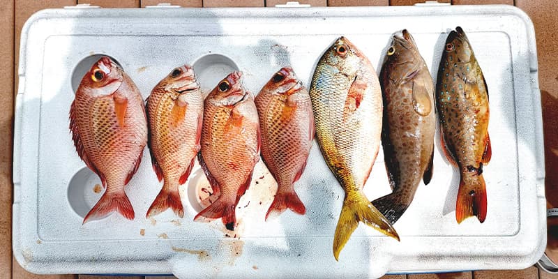 Wanderlust Adventures Banner 2