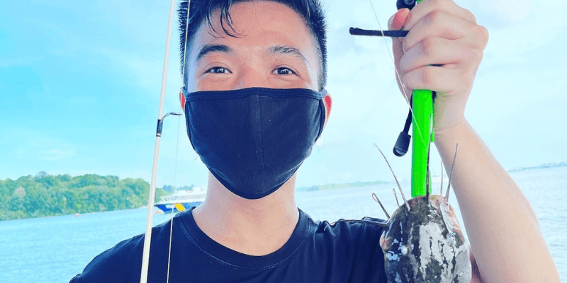 Purehybridz Pte Ltd Banner 3