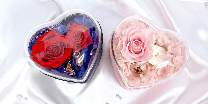 The Rose Ark Banner 1