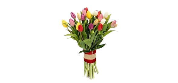 25 Vibrant Tulips Bunch