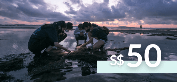 S$50 The Untamed Paths Gift Card