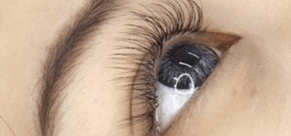 2D Souffle Eyelash Extension