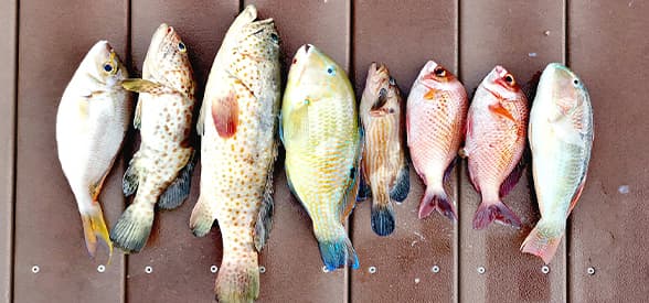 Advance Angler's Course