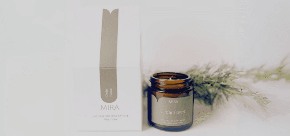 Cedar Forest Christmas Soy Candle