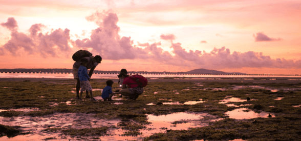 Intertidal Exploration for Two (Private Tour)