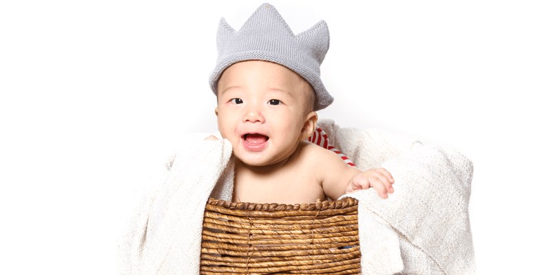 Firefly Photography Banner 1