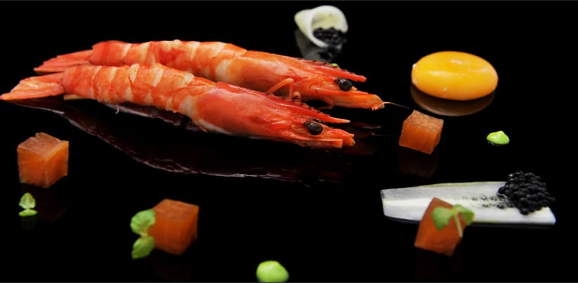 NOX - Dine in the Dark Banner 1