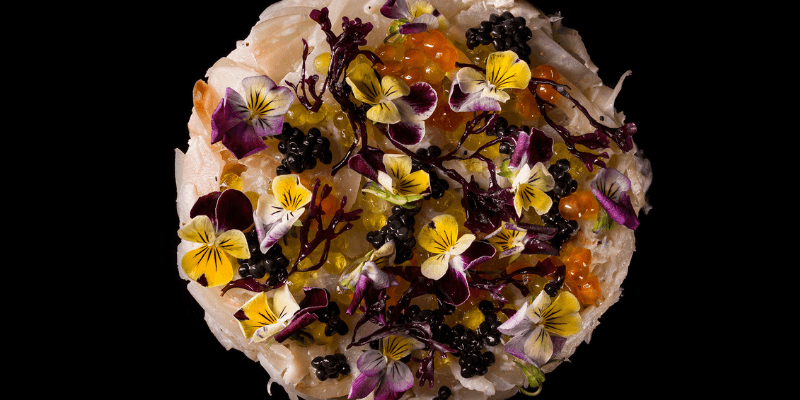 NOX - Dine in the Dark Banner 4