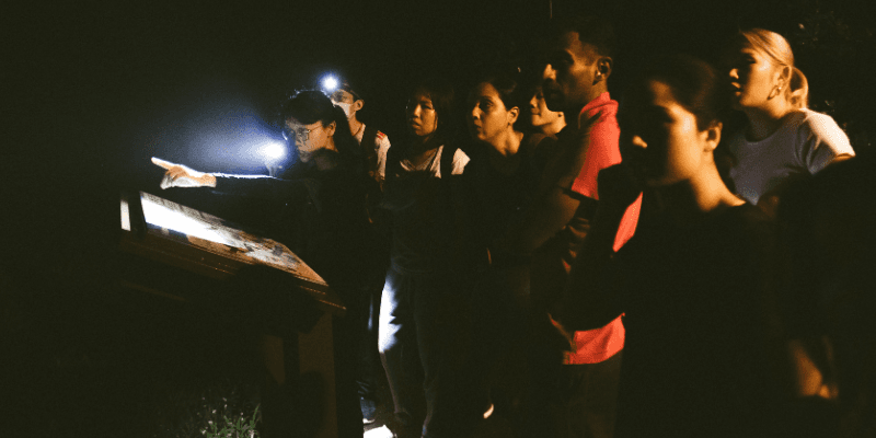 The Untamed Paths Banner 3