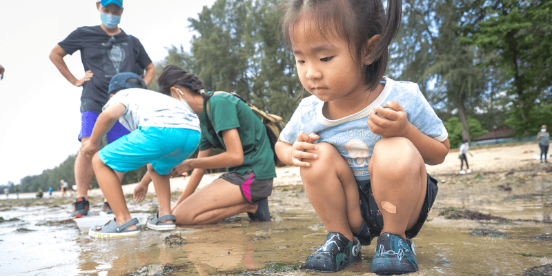 The Untamed Paths Banner 2