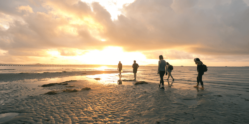 The Untamed Paths Banner 1