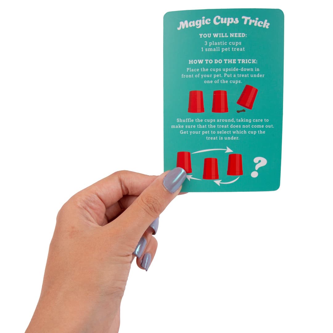 Magic Tricks With Your Pet