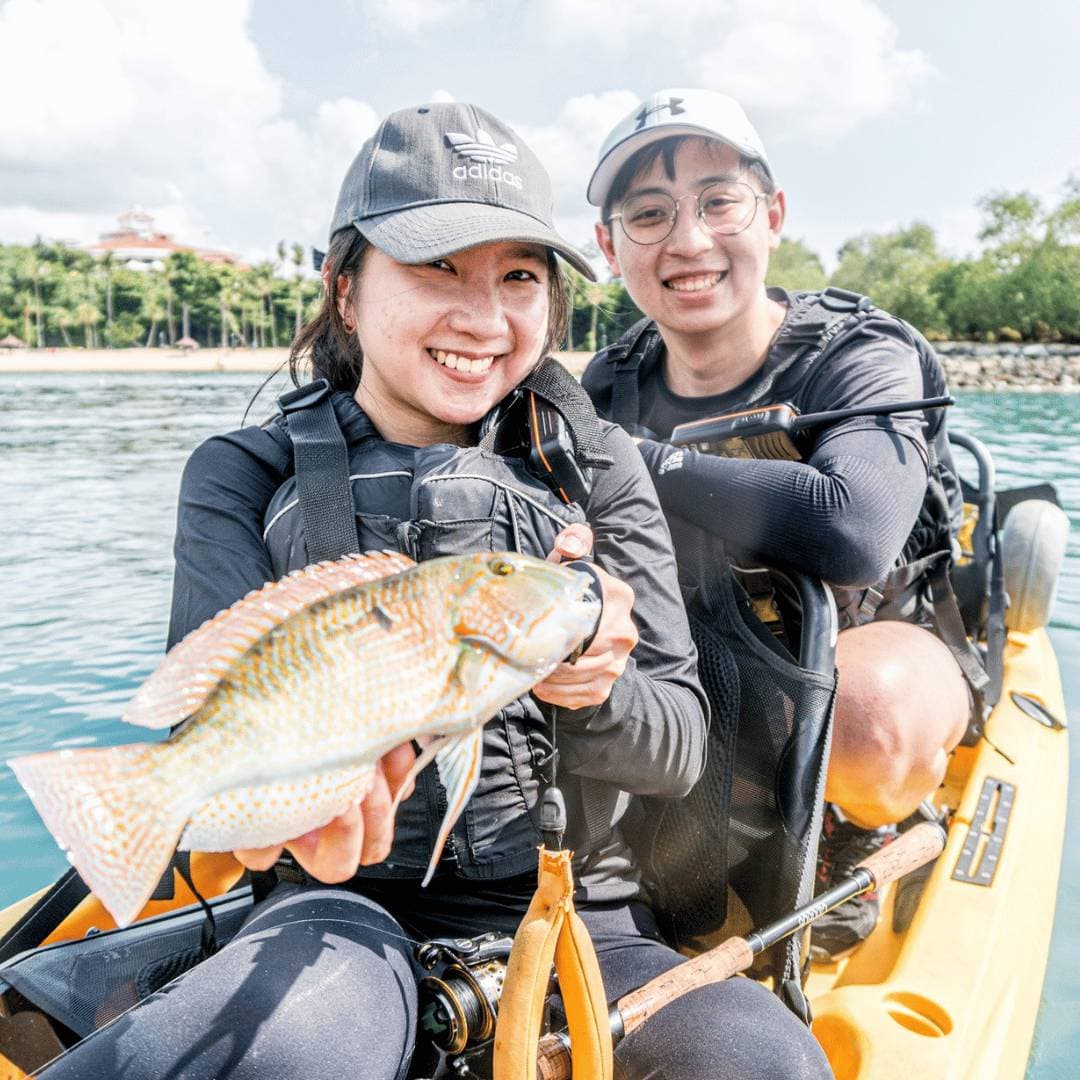 The Playground for 2