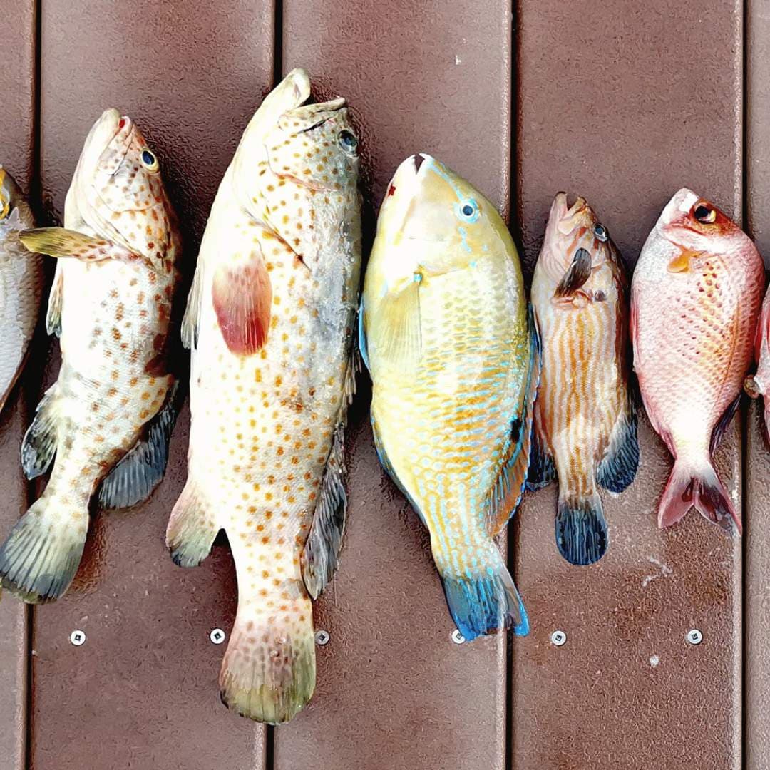 Novice Angler's Course