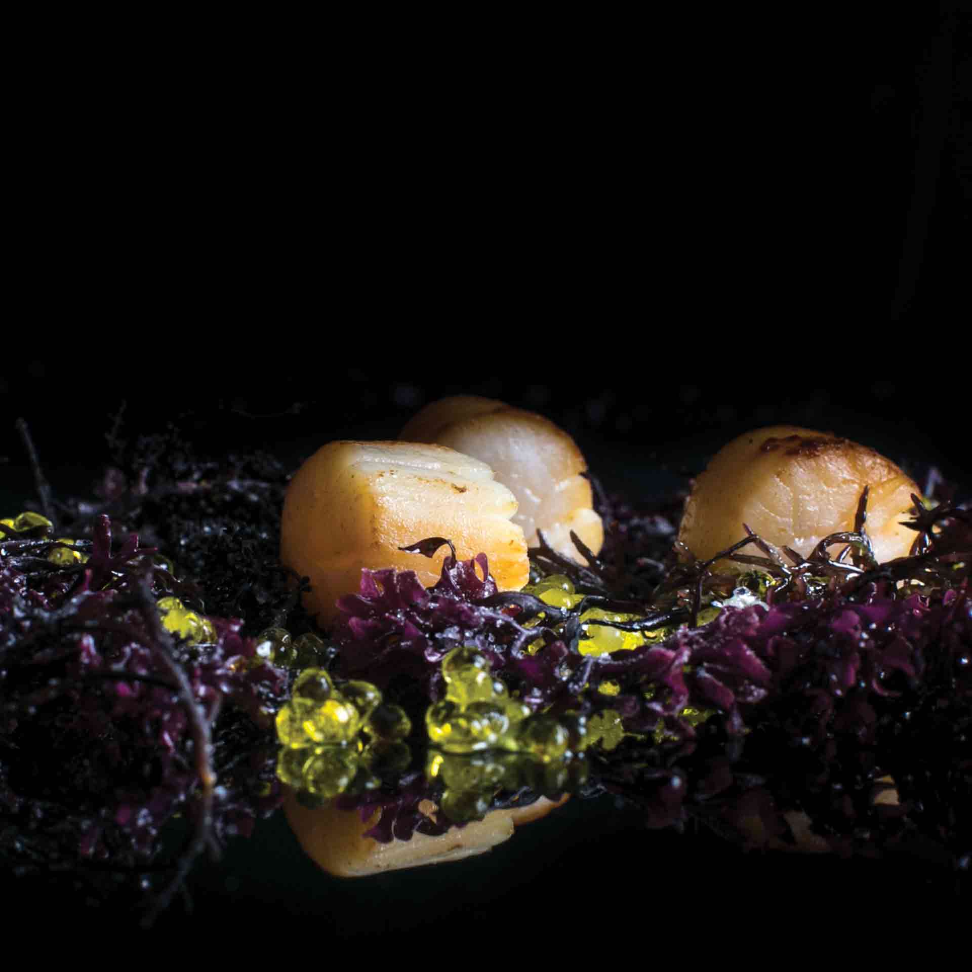 3-Course Mystery Set Menu